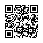 081041001300 QRCode