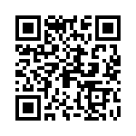 0873812017 QRCode