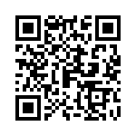 0873819004 QRCode