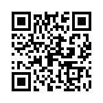 09110006129 QRCode