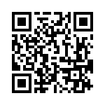 09153005411 QRCode