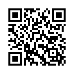 09185306913001 QRCode