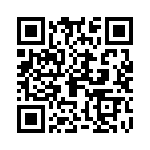 09185507903800 QRCode