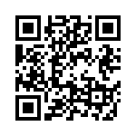 09552663811741 QRCode