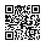 09691200022 QRCode