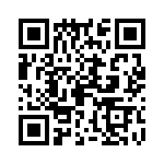 09691845100 QRCode