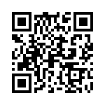 09691870063 QRCode