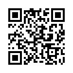 1-1746741-3 QRCode