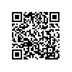 1003P2T8B13M1RE QRCode