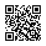 1003P3T1B1M1QE QRCode