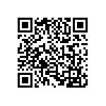 1003P3T7B13M2QE QRCode