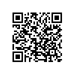 1004P6T8B13M1QE QRCode