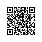 10104999-P0E-30B QRCode