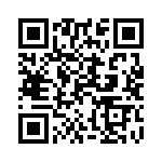 101243U040BF2B QRCode