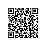 101C163U040BC2A QRCode