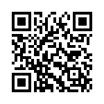 101X41W334MV4E QRCode