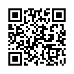 102S42E2R1BV4E QRCode