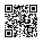 106-333K QRCode