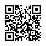 106-391H QRCode