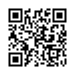 110990161 QRCode