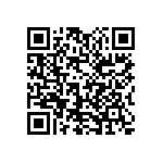 1111J2500131GQT QRCode