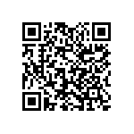 1111J2500471FQT QRCode