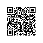 1111J2K02P70CQT QRCode