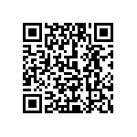 1111J300P900DQT QRCode