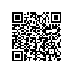 1111J6303P30DQT QRCode