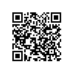 1111Y1000271KQT QRCode