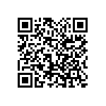 1111Y100P300HQT QRCode