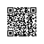 1111Y1K00510KQT QRCode