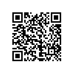 1111Y1K01P80BQT QRCode