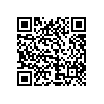 1111Y1K01P80HQT QRCode