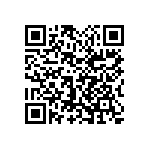 1111Y1K02P20BQT QRCode