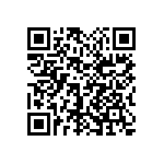 1111Y1K03P60DQT QRCode