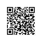 1111Y2500110KQT QRCode