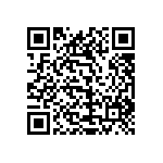 1111Y2500131KQT QRCode