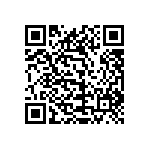 1111Y2500331KQT QRCode