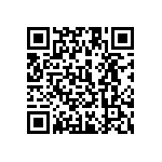 1111Y2504P70DQT QRCode