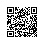 1111Y250P300DQT QRCode