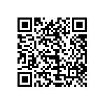 1111Y2K0P300BQT QRCode