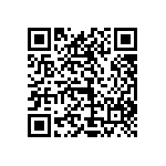 1111Y2K0P500DQT QRCode