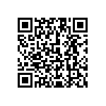 1111Y3000101KQT QRCode