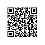 1111Y3000751KQT QRCode