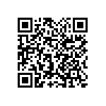 1111Y3001P10BQT QRCode