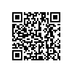 1111Y300P300DQT QRCode