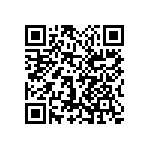 1111Y5001P80BQT QRCode