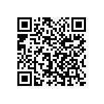 1111Y6302P20BQT QRCode