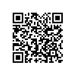 1111Y6303P30BQT QRCode